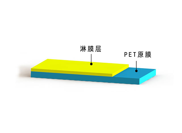 PET film